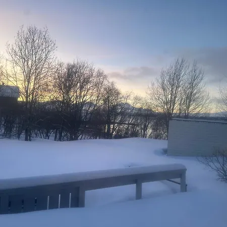 Selmarctic * Tromsø